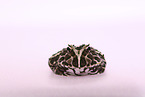 Argentine horned frog