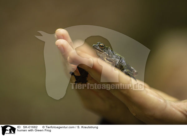 Mensch mit Teichfrosch / human with Green Frog / SK-01682