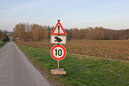 toad migration