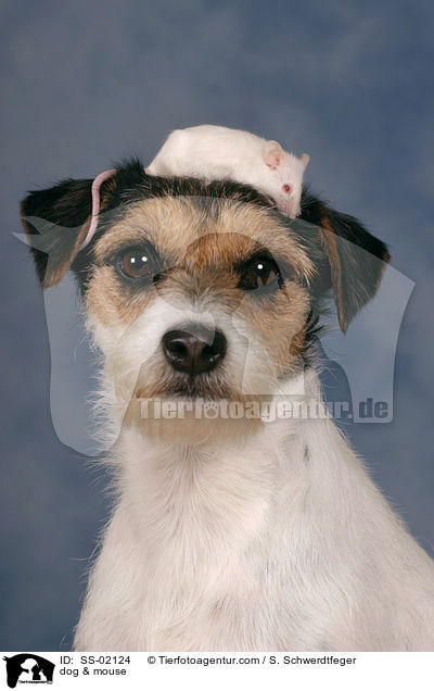 dog & mouse / SS-02124