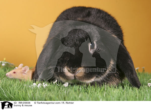 bunny & mouse / RR-05606