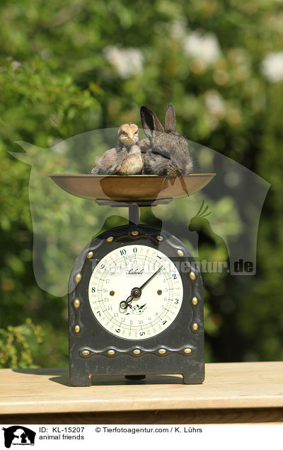 animal friends / KL-15207