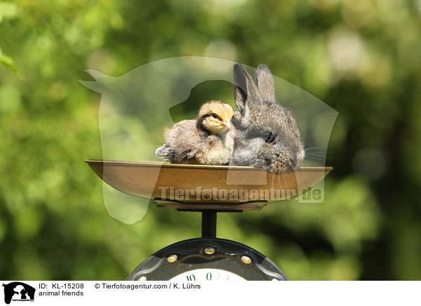animal friends / KL-15208