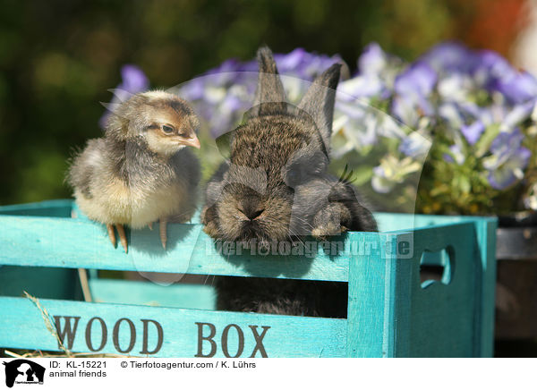 animal friends / KL-15221