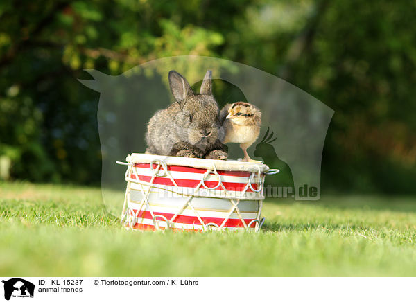 animal friends / KL-15237
