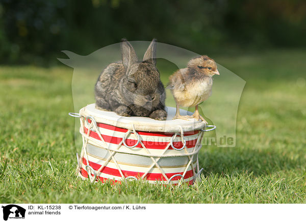 animal friends / KL-15238