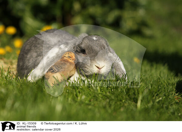 animal friends / KL-15309