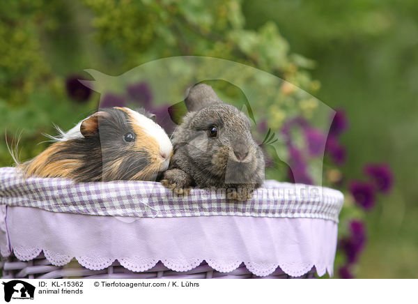 animal friends / KL-15362