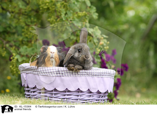 animal friends / KL-15364