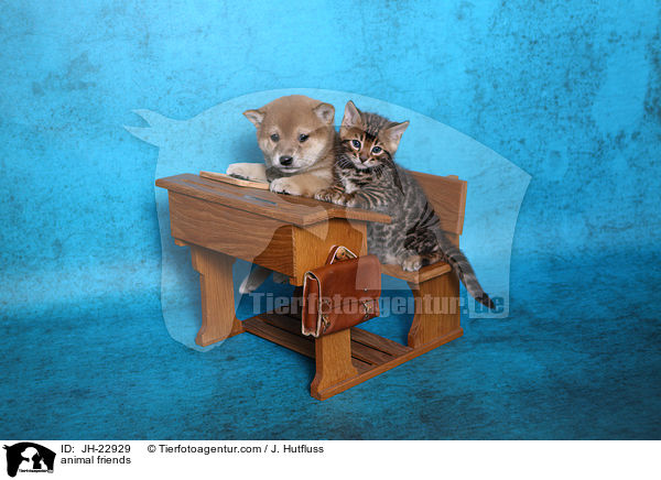 animal friends / JH-22929