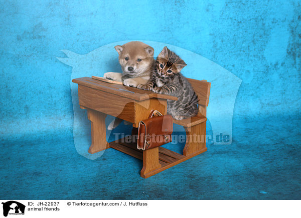 animal friends / JH-22937