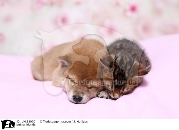 animal friends / JH-23000