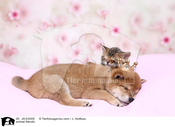 animal friends / JH-23005