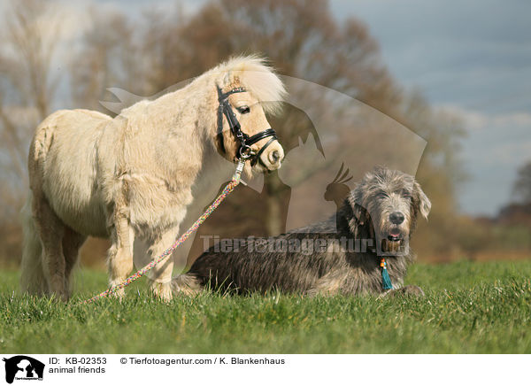 animal friends / KB-02353