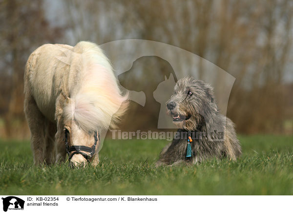 animal friends / KB-02354