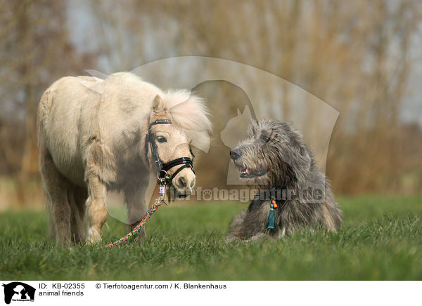 animal friends / KB-02355