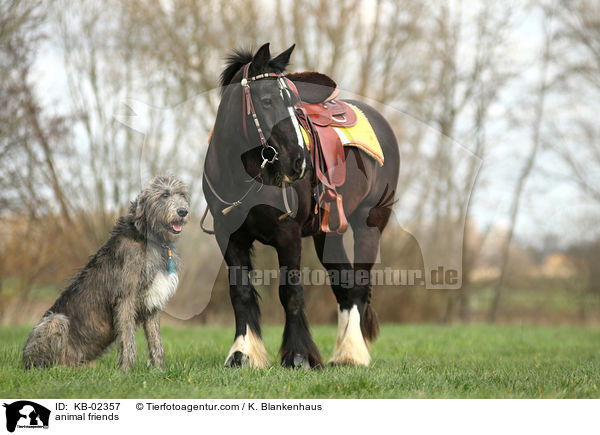 animal friends / KB-02357