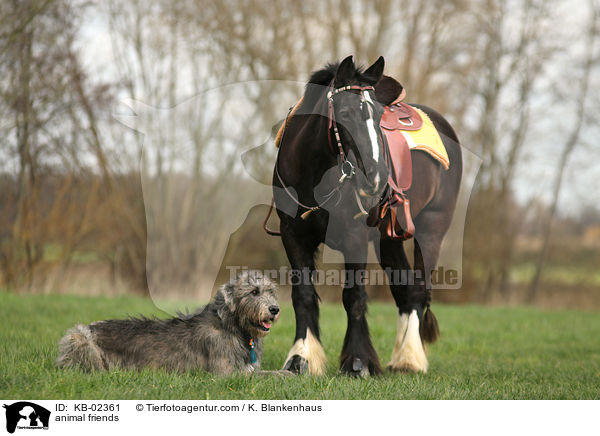 animal friends / KB-02361