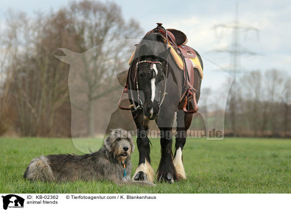 animal friends / KB-02362