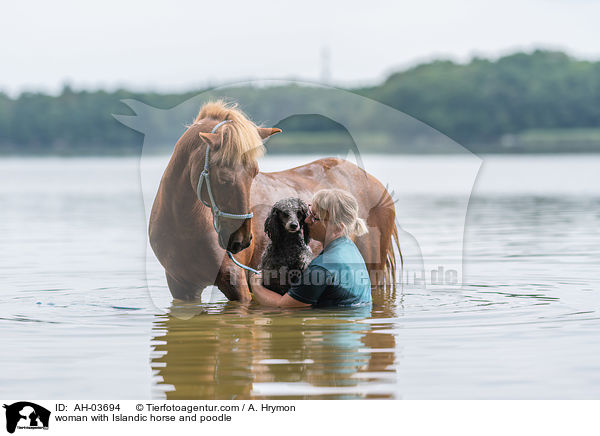 Frau mit Islnder und Kleinpudel / woman with Islandic horse and poodle / AH-03694