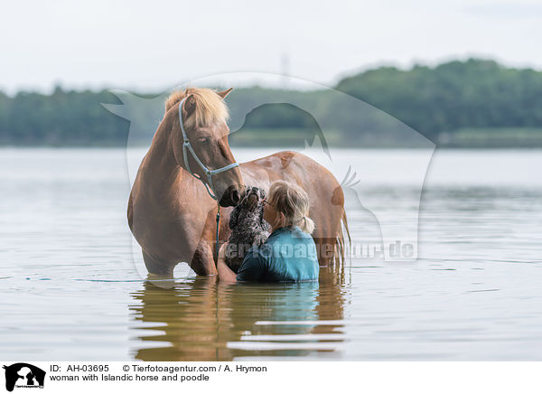 Frau mit Islnder und Kleinpudel / woman with Islandic horse and poodle / AH-03695