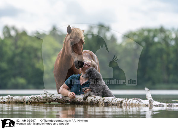 Frau mit Islnder und Kleinpudel / woman with Islandic horse and poodle / AH-03697