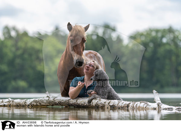woman with Islandic horse and poodle / AH-03698