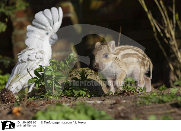 animal friends / JM-05310