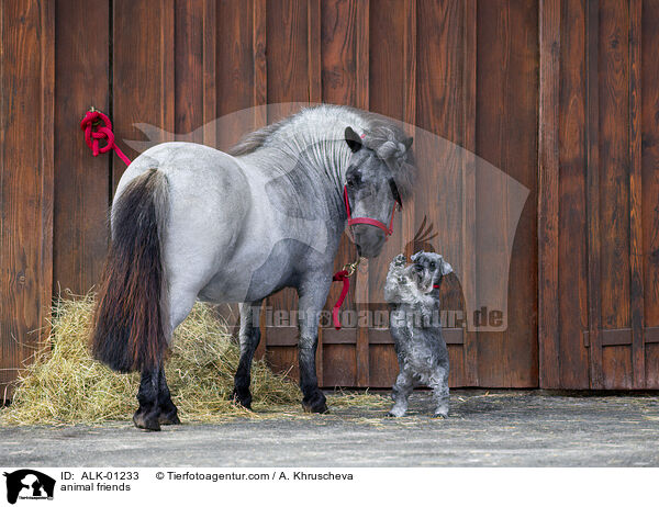 animal friends / ALK-01233