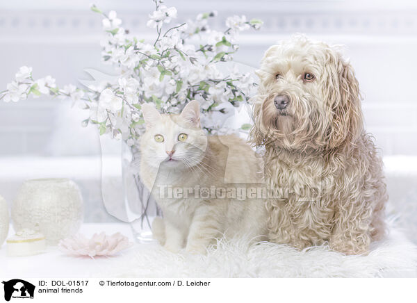 animal friends / DOL-01517