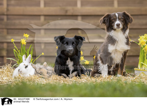 animal friends / AH-07398