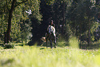 woman with horse and Eurasian eagle owl