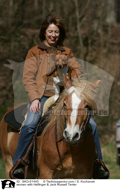 woman with Haflinger & Jack Russell Terrier / SKO-01440