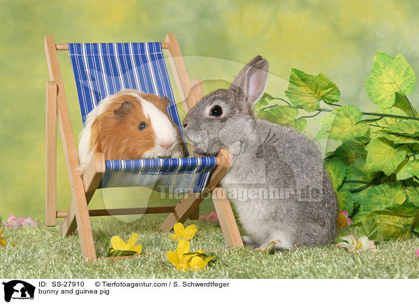 bunny and guinea pig / SS-27910