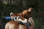 woman with Haflinger & Jack Russell Terrier