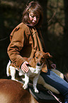 woman with Haflinger & Jack Russell Terrier