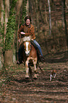 woman with Haflinger & Jack Russell Terrier