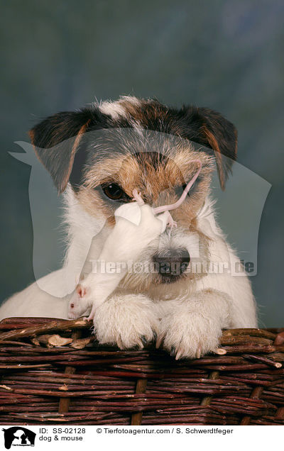 Hund & Maus / dog & mouse / SS-02128