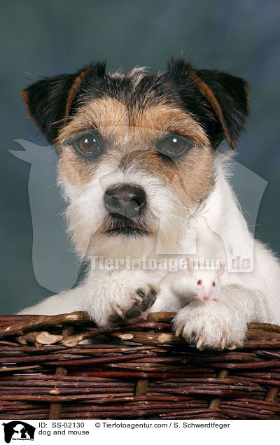 dog and mouse / SS-02130