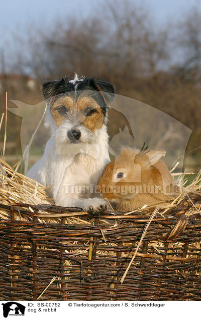 dog & rabbit / SS-00752