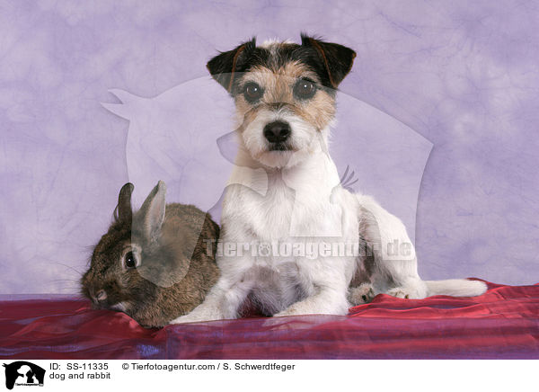 dog and rabbit / SS-11335