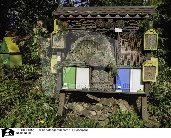 Insektenhotel / insect hotel / HB-01855