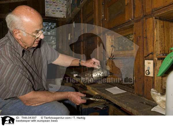 beekeeper with european bees / THA-04397