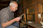 beekeeper with european bees
