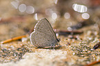 Spring Azure