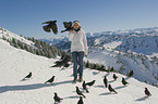 human and alpine yellow-billed choughs