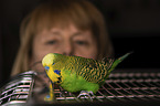 woman with Budgie