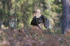 flying Eurasian Eagle Owl