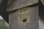birdhouse