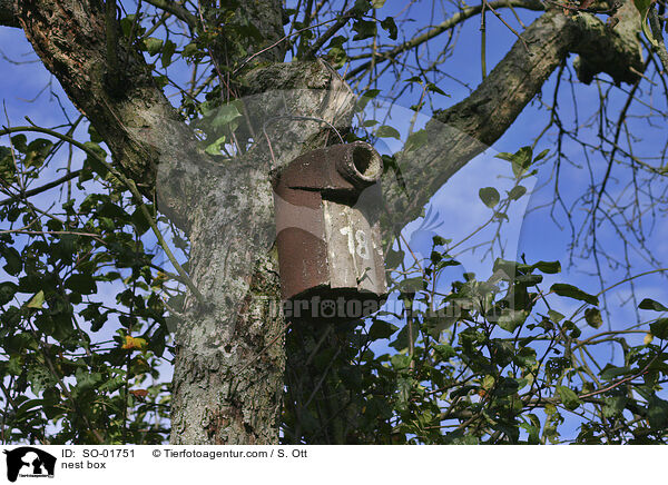 nest box / SO-01751